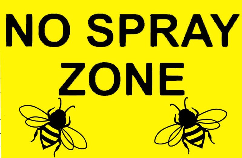 no spray zone